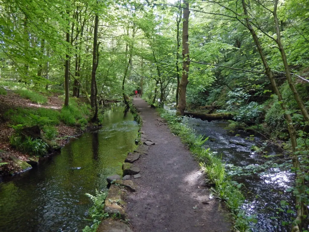 The Rivelin Valley Trail